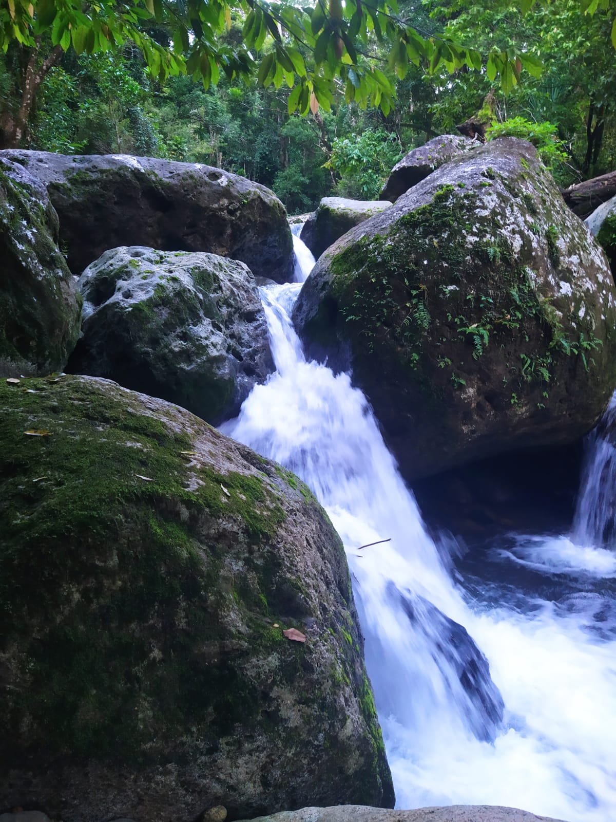 masoala adventure trekking 02